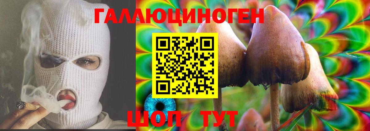 Галлюциногенные грибы Psilocybine cubensis  Вход с VPN  Шарыпово 